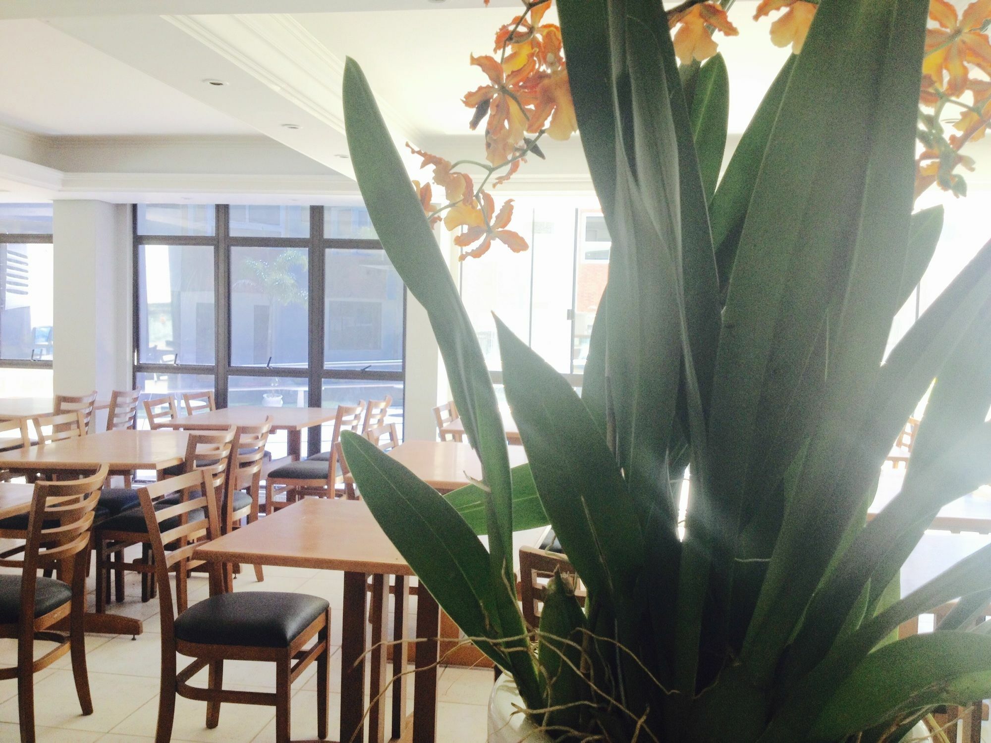 Hotel Boulevard Canasvieiras